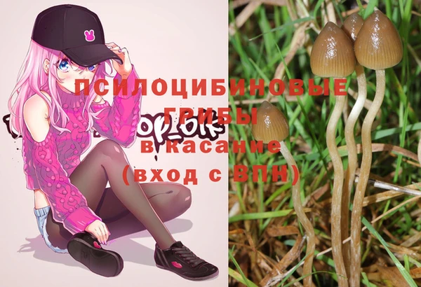 стафф Михайловка