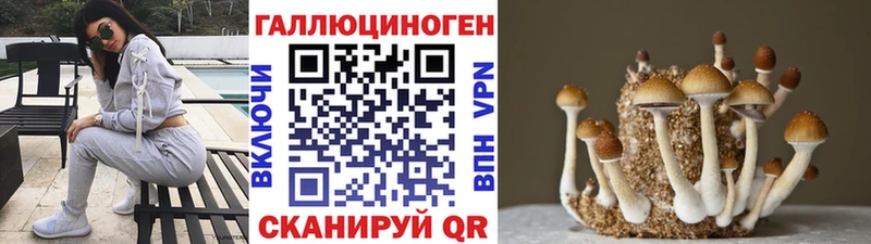 купить  цена  гидра ССЫЛКА  Галлюциногенные грибы мицелий  Ростов-на-Дону 