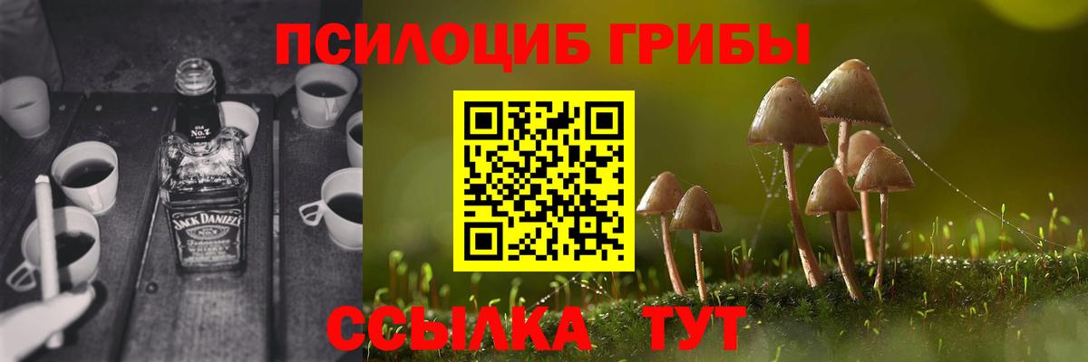 Галлюциногенные грибы Psilocybine cubensis  Псилоцибиновые грибы Psilocybe  Вход с VPN  Ростов-на-Дону 